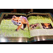 Охота — книга в коже — оригинальный подарок — фотография 4